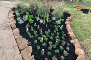 moss rock with annuals and mulch