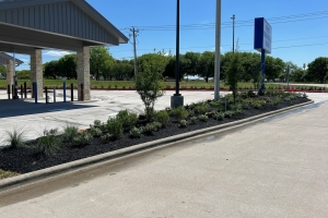 First Financial Bank landscaping installation. commercial landscape