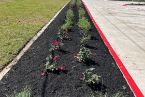 First Financial Bank landscape installation, black mulch, native grasses, seasonal color landscape