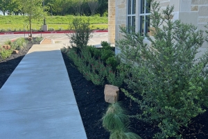 First Financial Bank installation. Mexican Feather grass, boulder and mulch