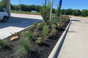 First Financial Bank landscape installation. Boulder, organic bed mix soil, pink muhly, sage