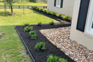 bull rock, pittosporum, mulch, custom landscape border and design