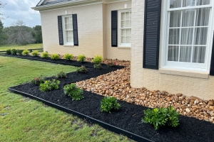 Bull rock with pittosporum, mulch landscaping job. Custom border