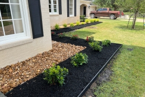 bull rock with pittosporum, mulch custom border installation