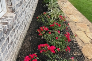 crushed granite with flagstone steps, agapanthus, bermuda grass, mulch and bed mix