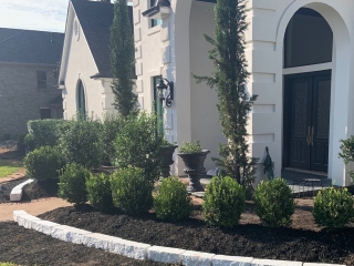 white limestone border, italian cypress, boxwood, formal landscape, potted plants