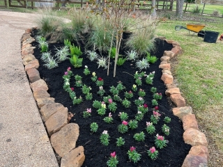 moss rock with annuals and mulch
