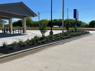 First Financial Bank landscaping installation. commercial landscape