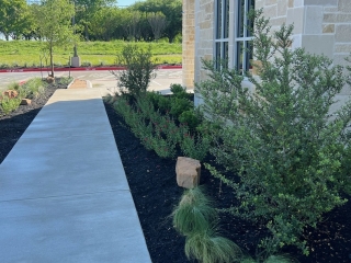 First Financial Bank installation. Mexican Feather grass, boulder and mulch