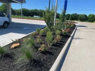 First Financial Bank landscape installation. Boulder, organic bed mix soil, pink muhly, sage