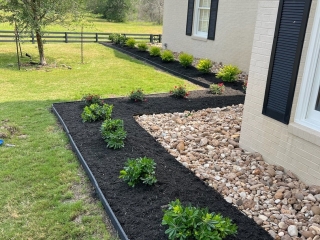 bull rock, pittosporum, mulch, custom landscape border and design