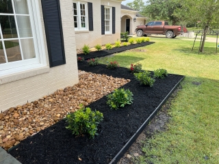 bull rock with pittosporum, mulch custom border installation